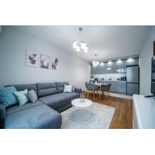 Brand New Downtown Apartment