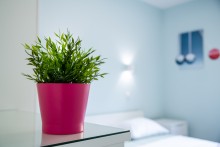 Colibri Central Apartment With Parking Place