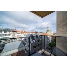 Brand New Downtown Apartment