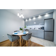 Brand New Downtown Apartment