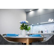 Brand New Downtown Apartment
