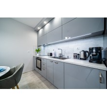 Brand New Downtown Apartment