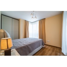 Brand New Downtown Apartment