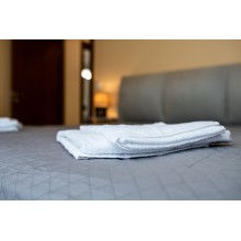 Brand New Downtown Apartment